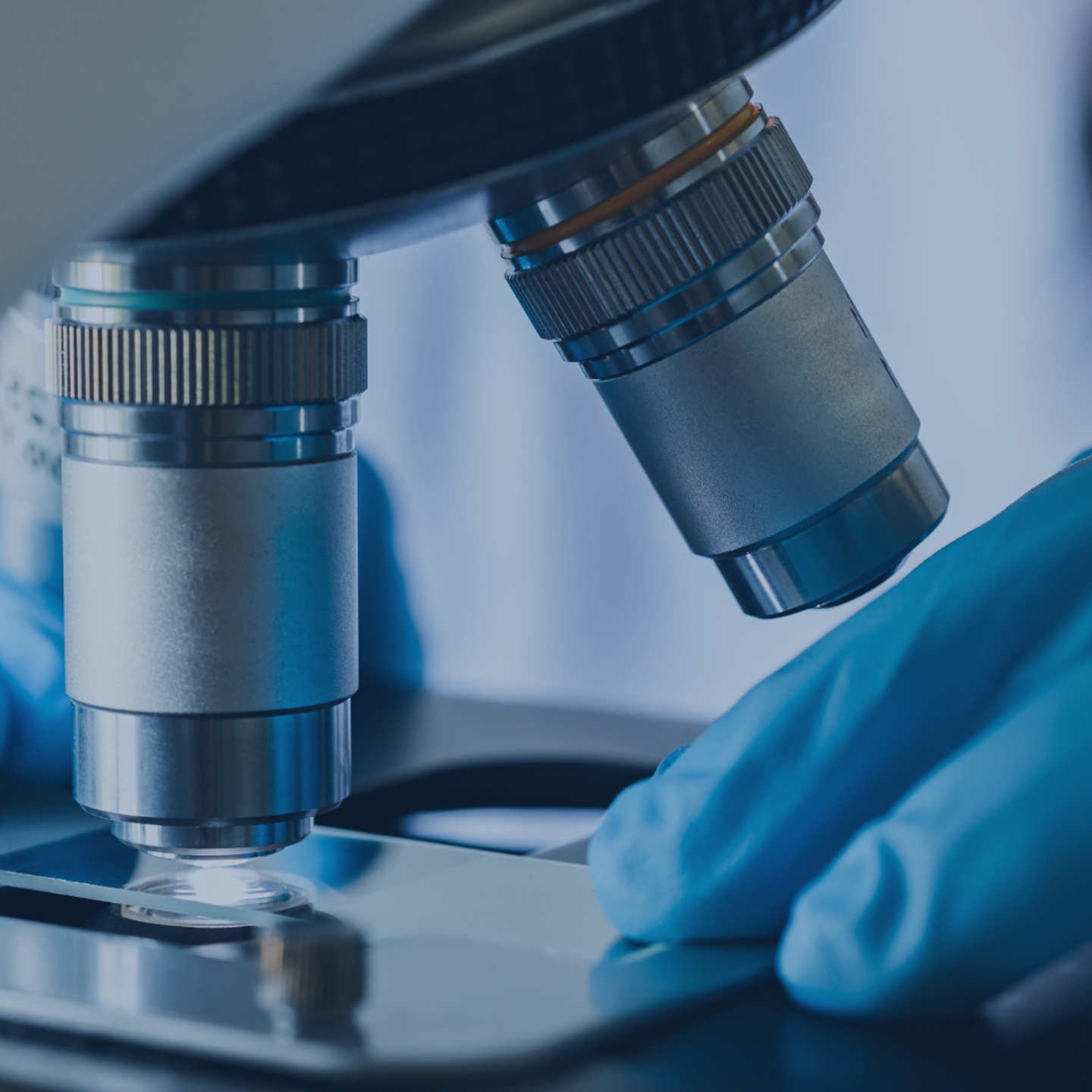 Clinical Labs Q3 2025 ENG