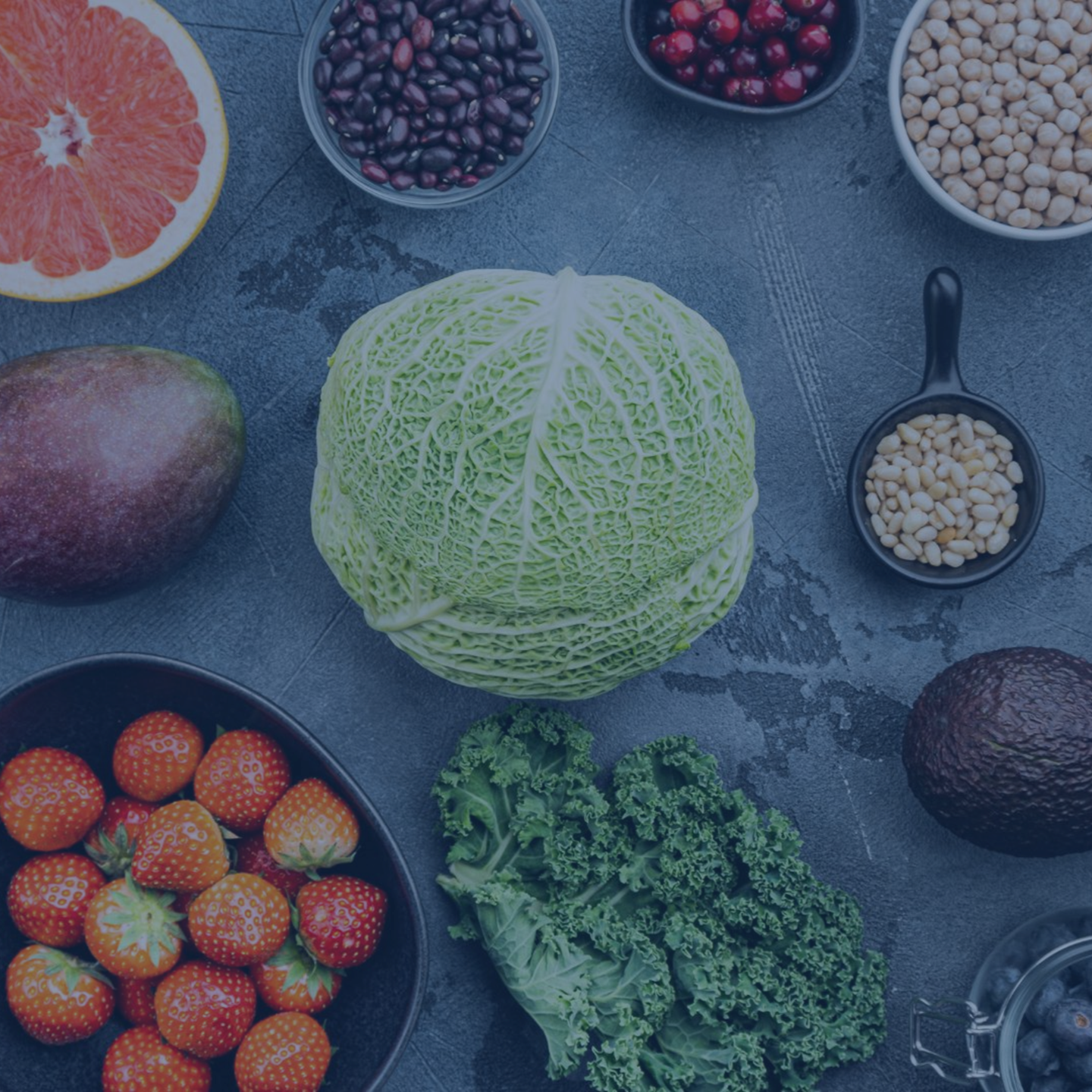 Food Q1 2026 ENG