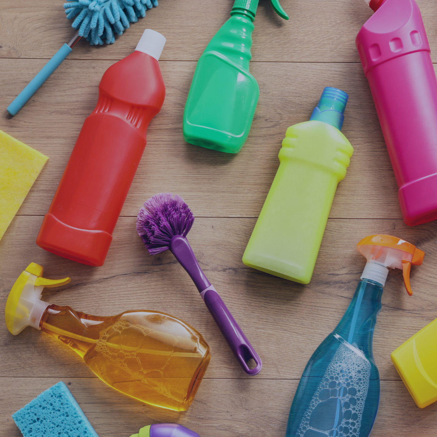 Household Products Q1 2025 ENG-1