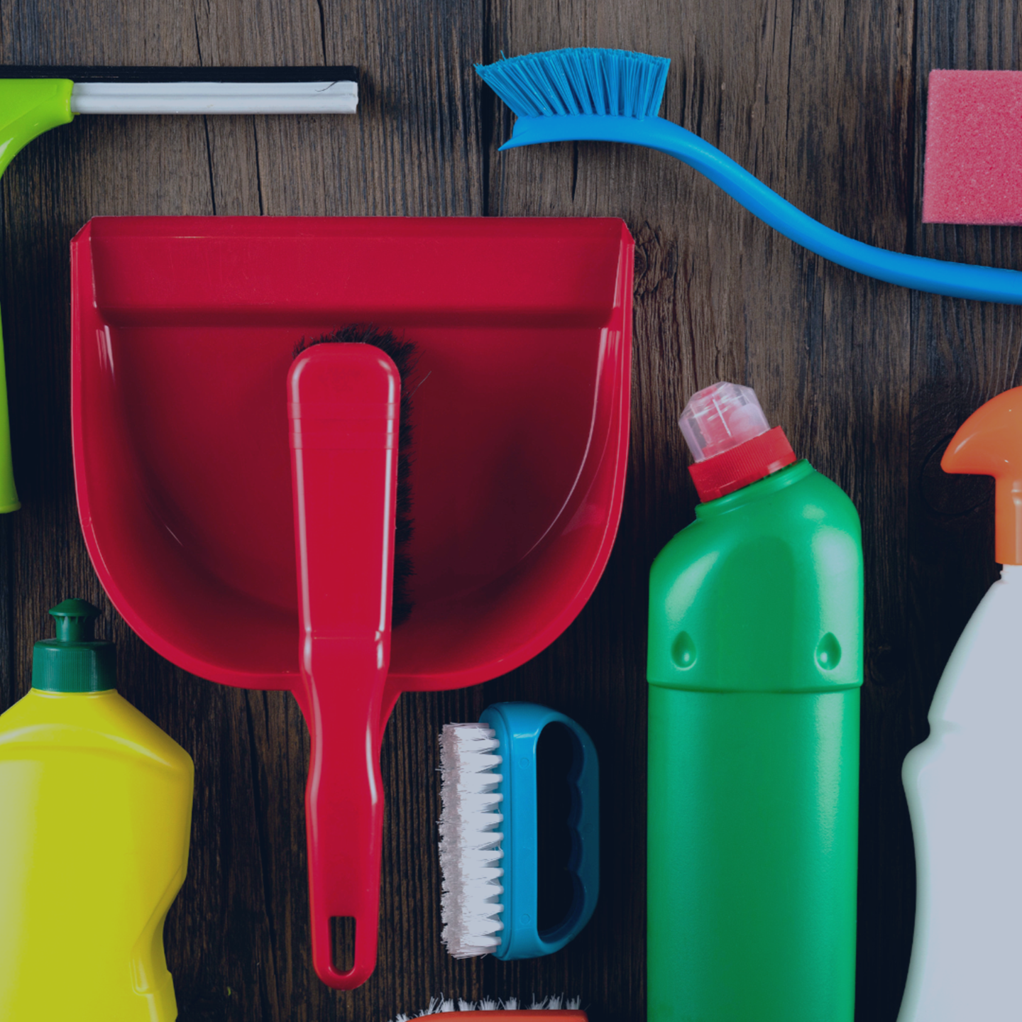 Household Products Q2 2025 ESP