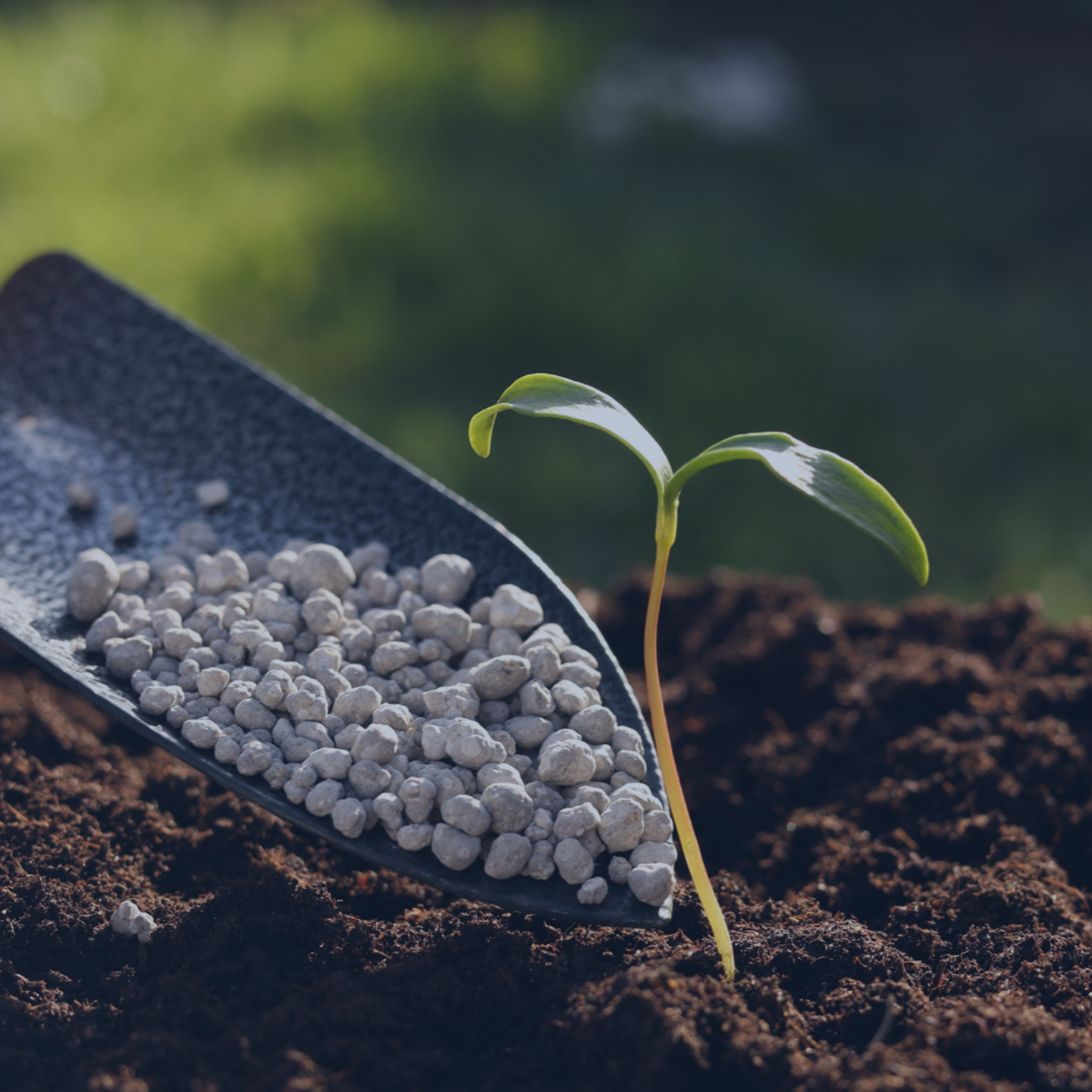 Agrochemicals & Fertilizers Q2 2025 ENG