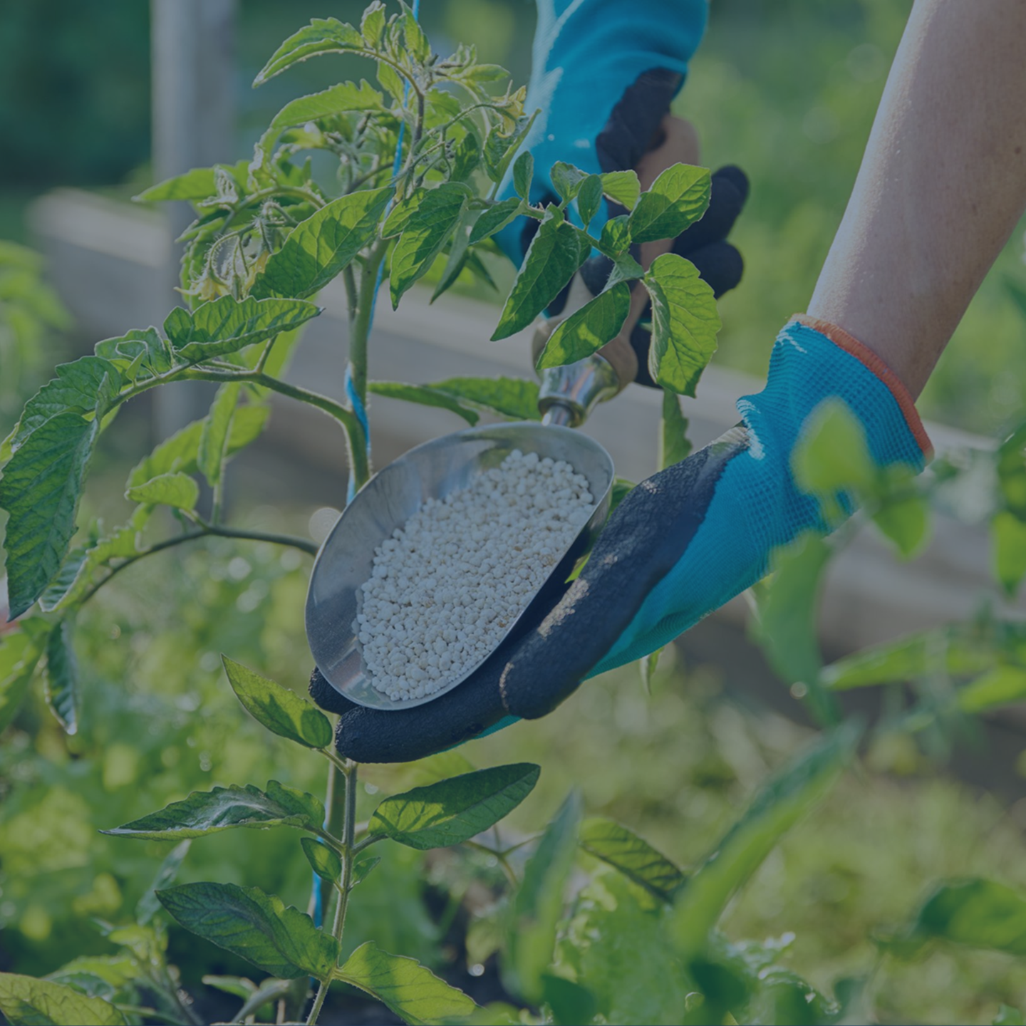 Agrochemicals & Fertilizers Q2 2026 ESP