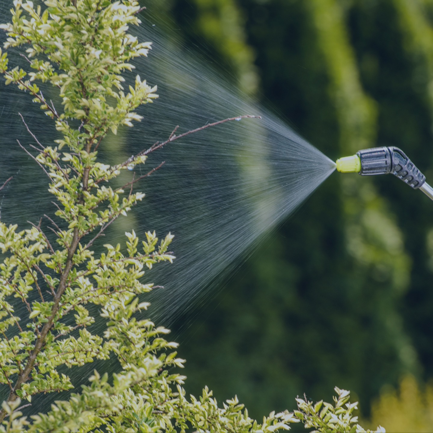 Agrochemicals & Fertilizers Q3 2025 ENG