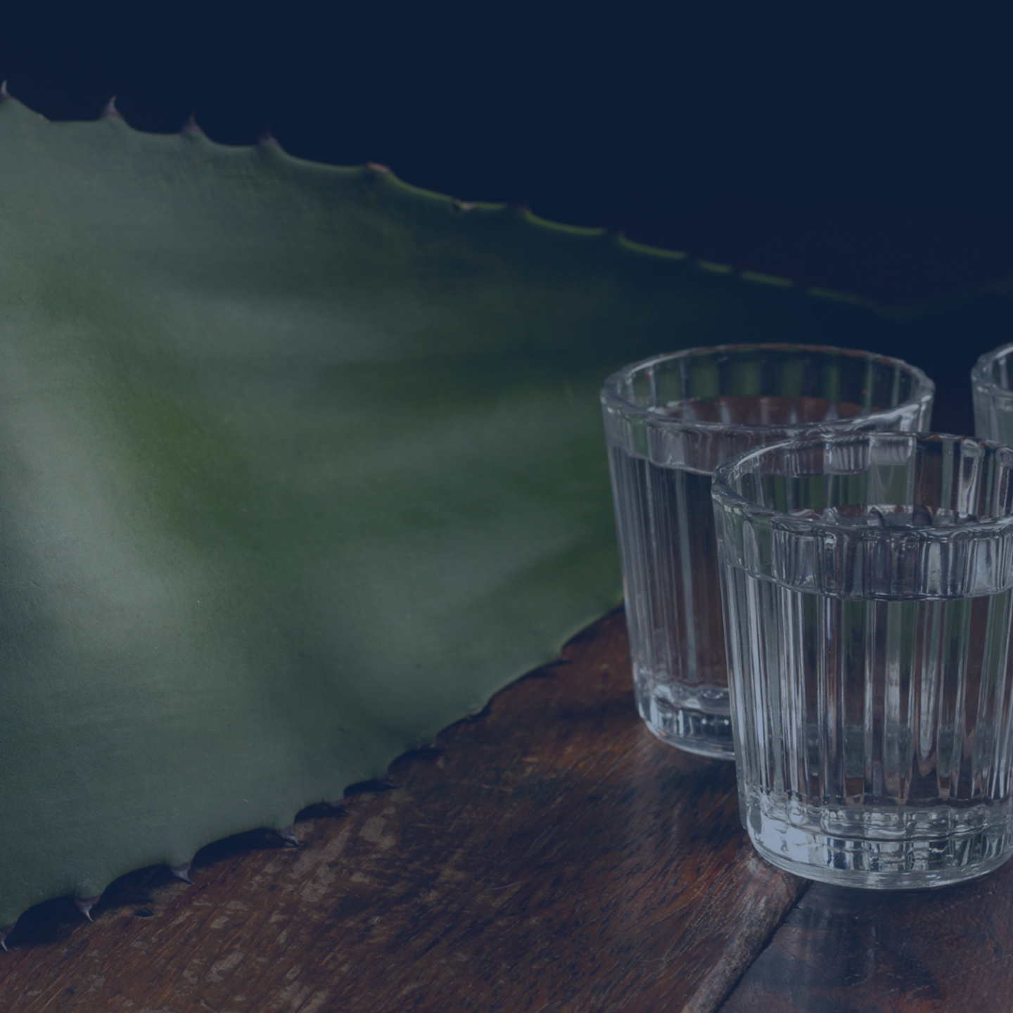 Alcoholic Beverages ENG Q4 2025