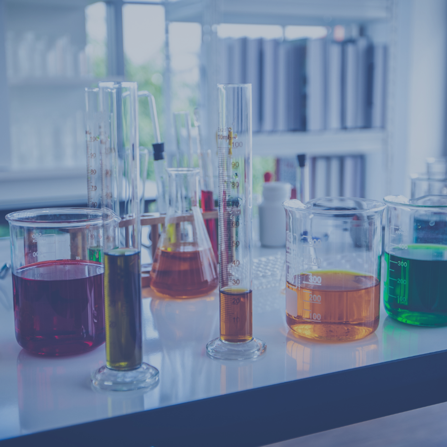 Chemicals Q4 2024 ENG-2