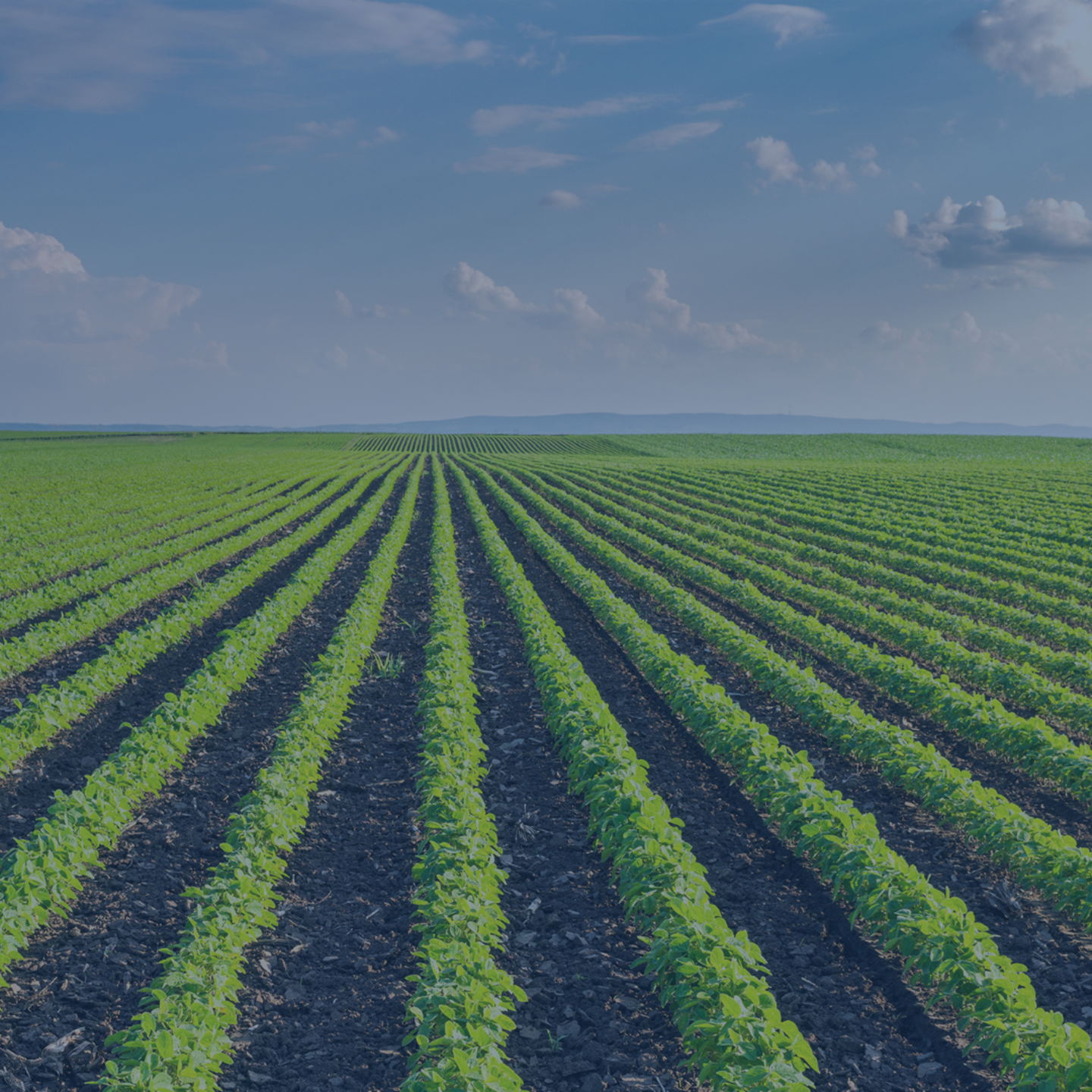 Farming Q4 2024 ESP