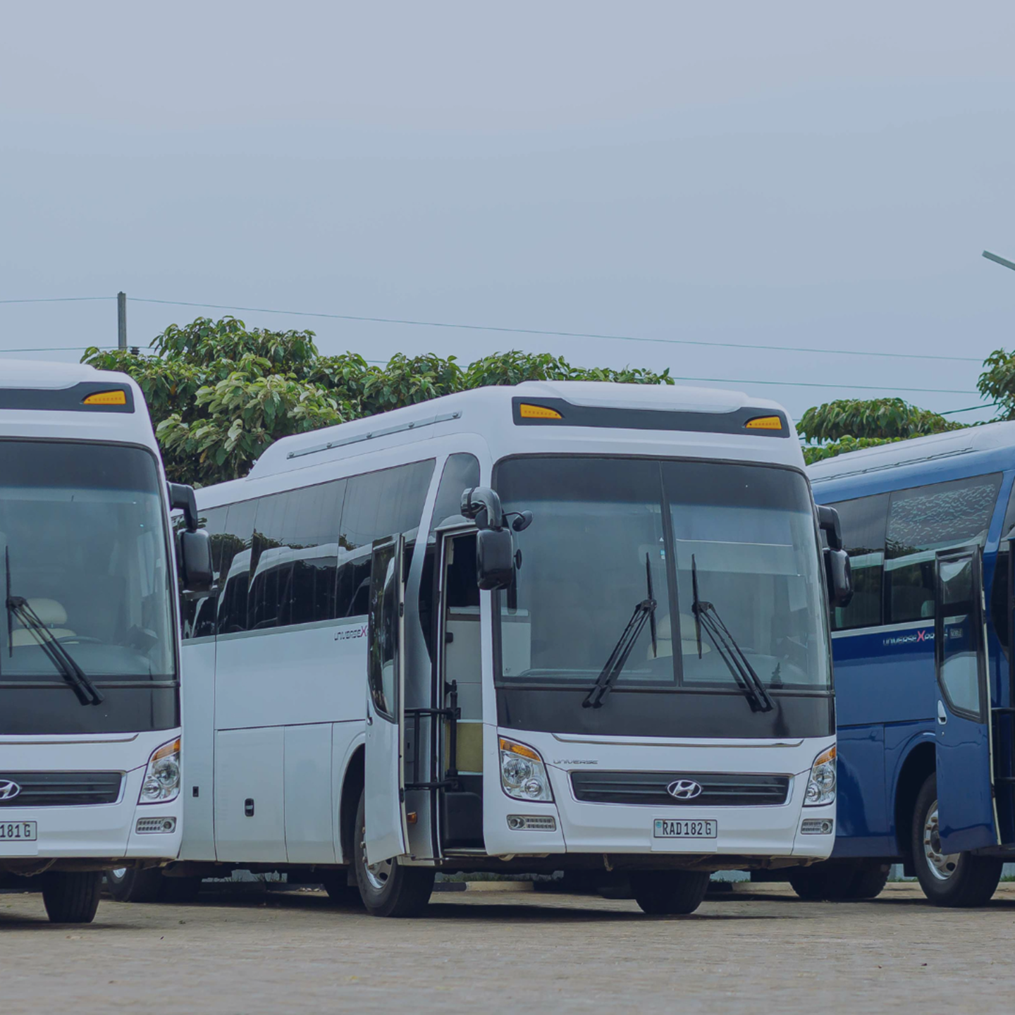 Fleet Leesing Q125 ESP 2025