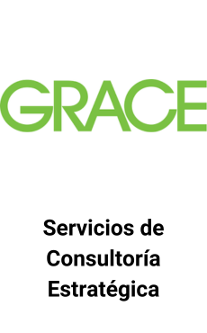 Proporcionó consultoría estratégica a nivel empresarial a W. R. Grace & Co.,