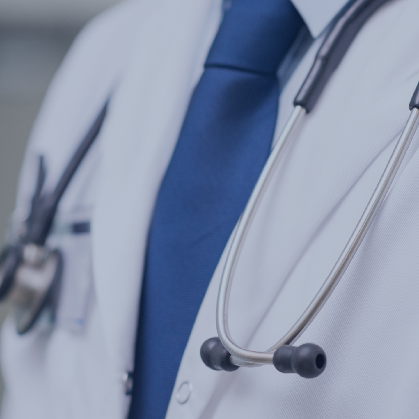 Healthcare Q4 2024 ENG