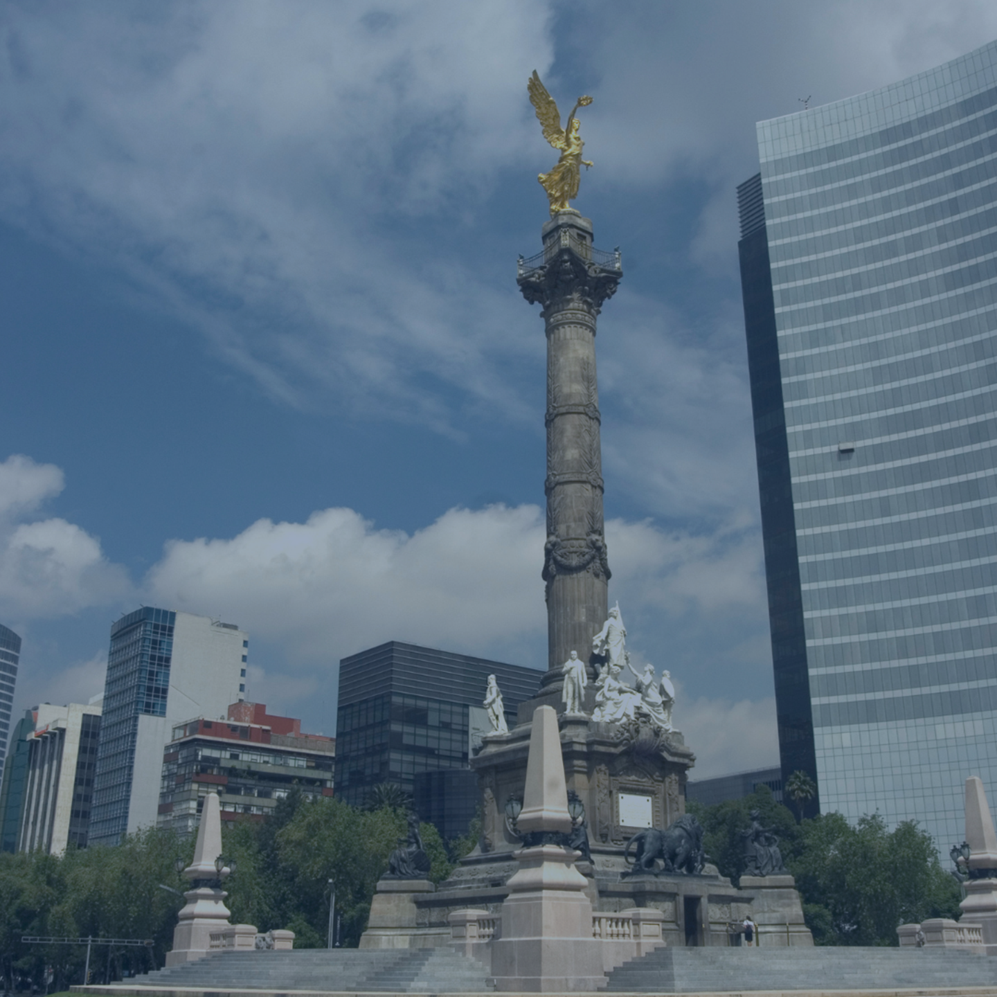 June Report 2025-2