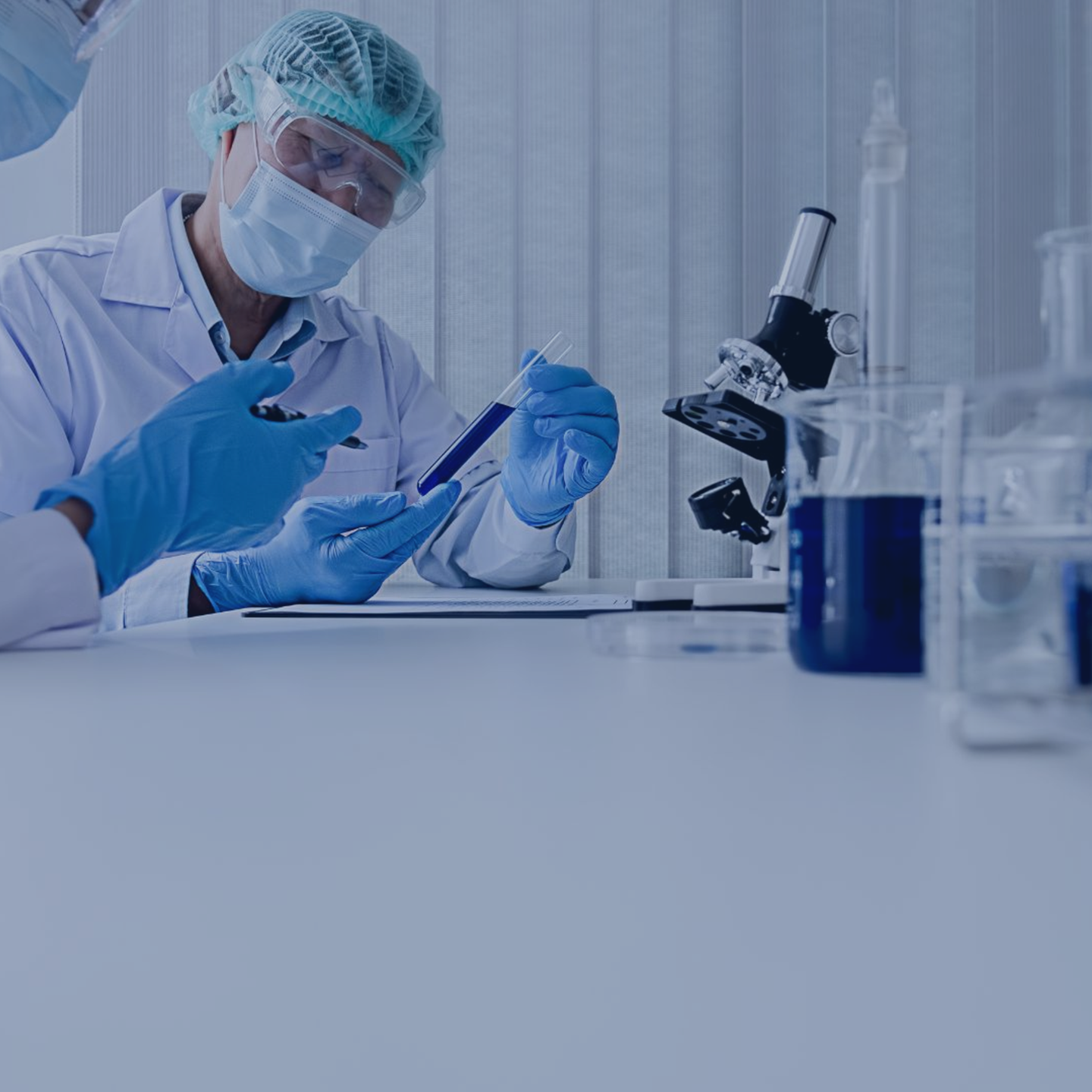 Labs Q3 2024 ENG