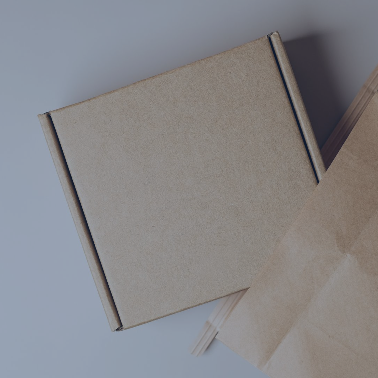 Packaging Solution Q4 2024 ENG