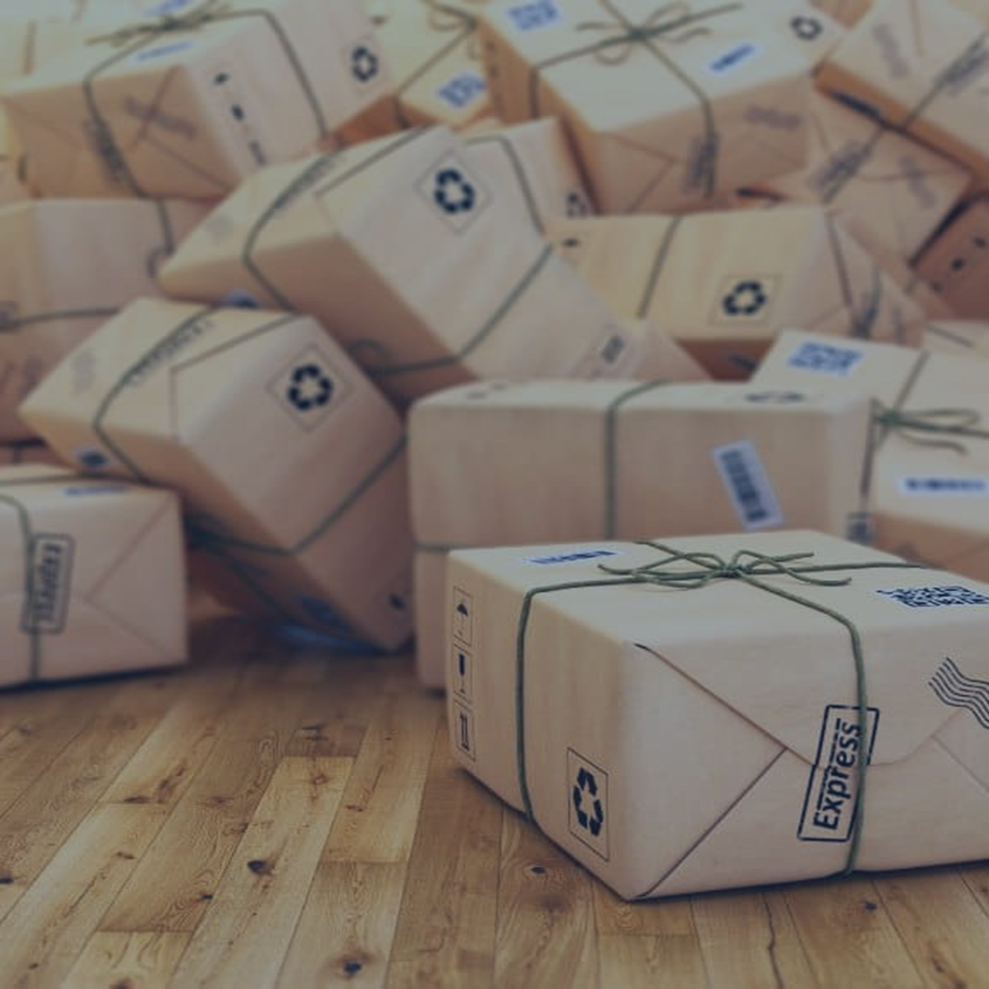 Packaging Solutions ENG Q1 2025-1