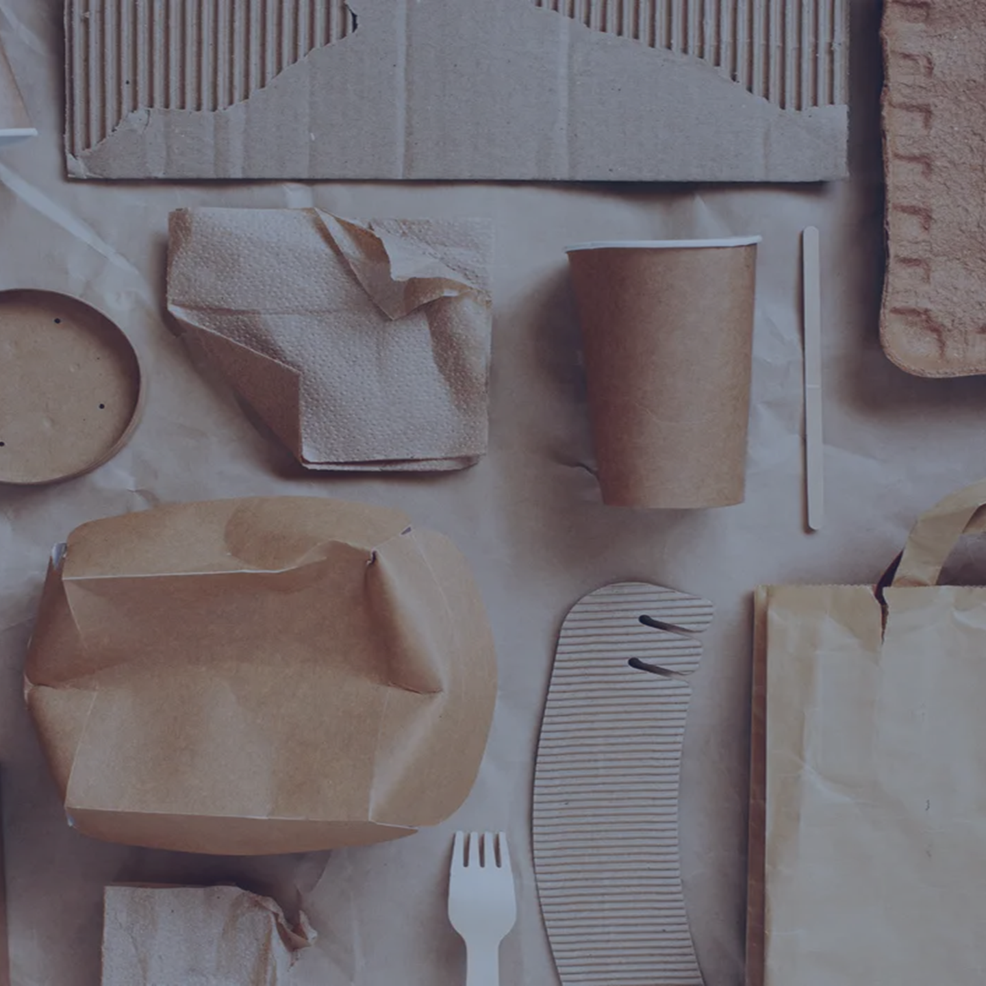 Packaging Solutions ENG Q2 2025