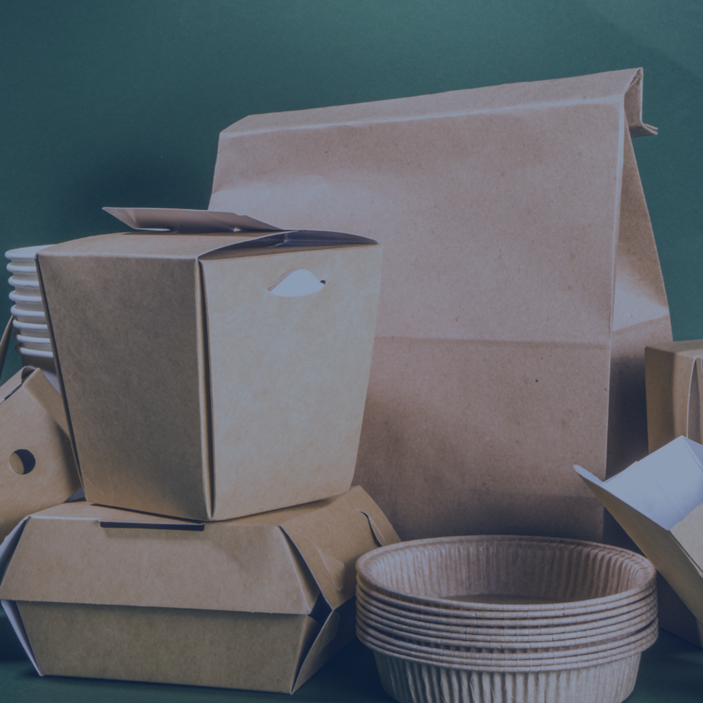 Packaging Solutions ENG Q3 2025