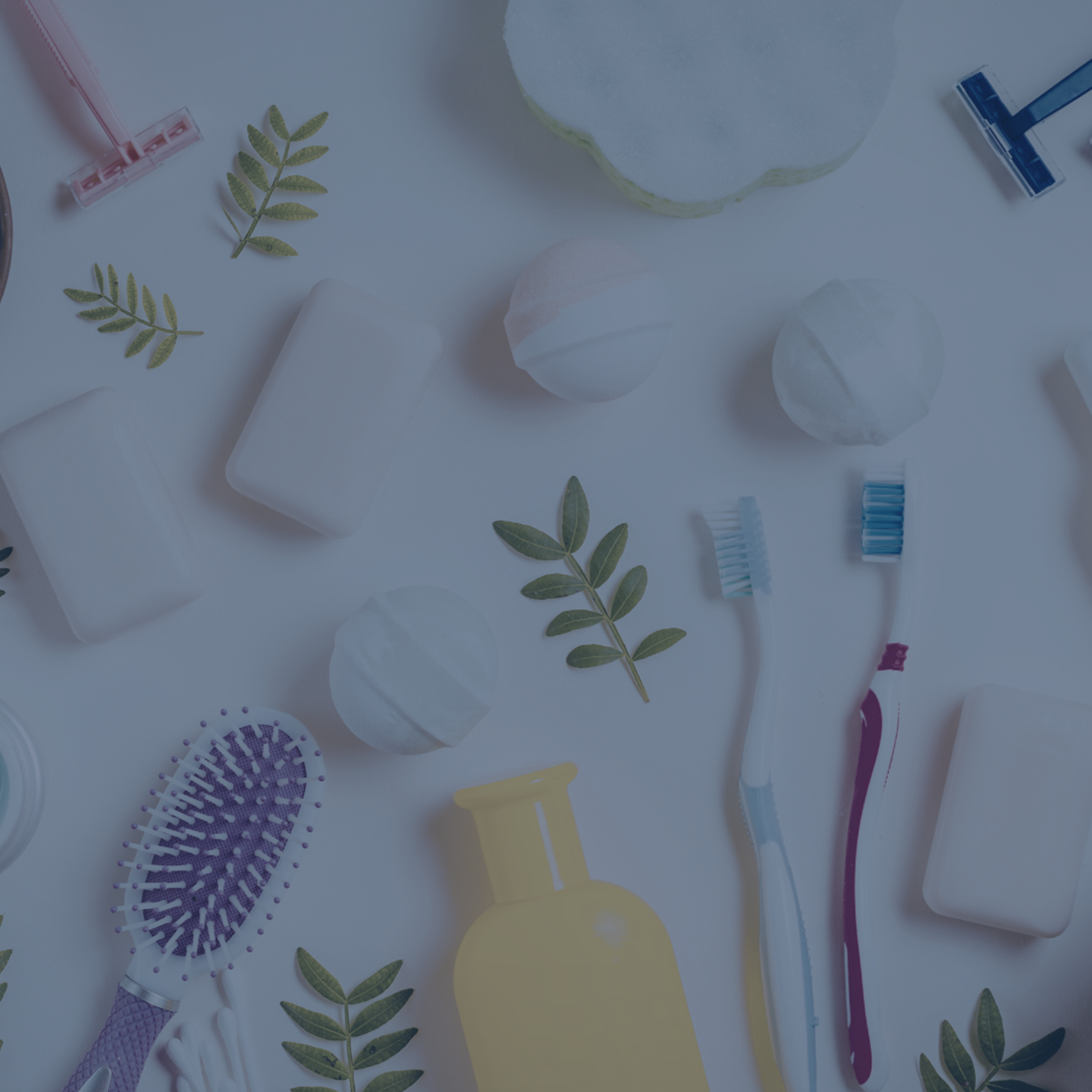 Personal Care Q4 2025 ENG