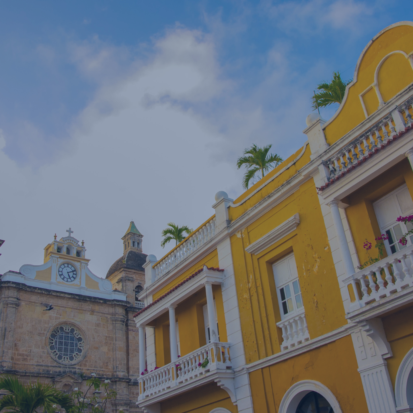 Reporte Julio 2025-1