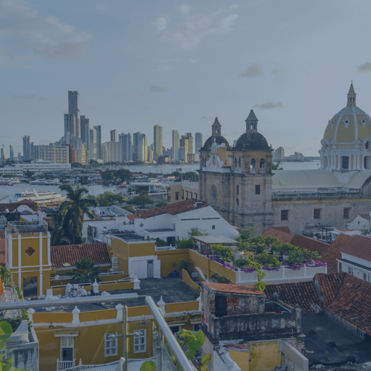 Reporte Noviembre 2025