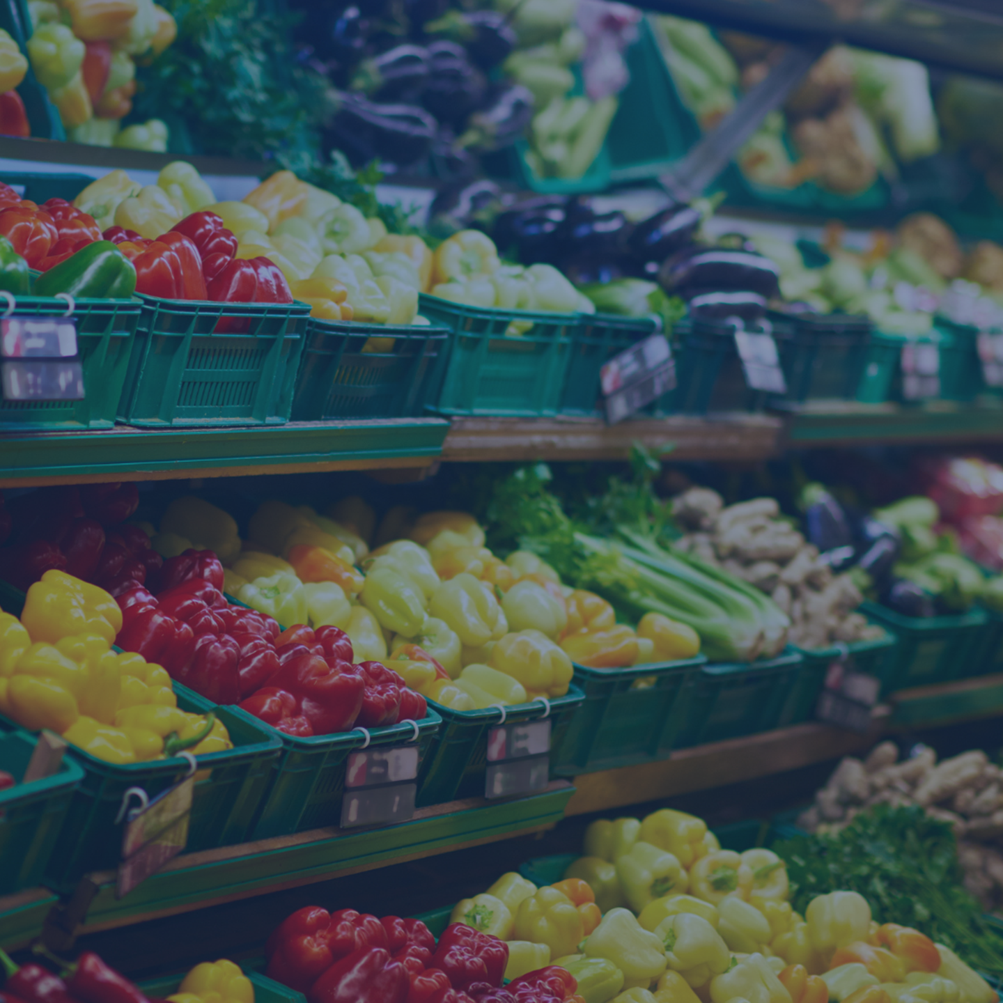 Supermarkets Q4 2025 ENG