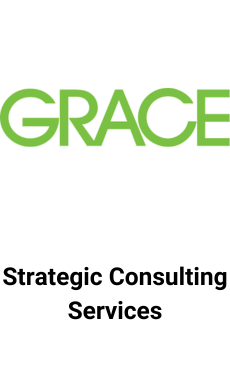 Provided enterprise level strategy consulting to W. R. Grace & Co., 